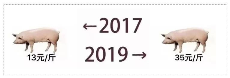 猪肉都涨价了,你还在一成不变吗?